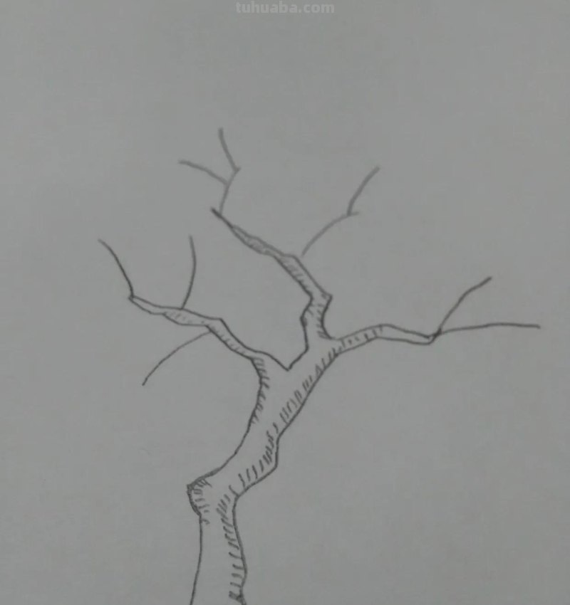 彩铅柠檬怎么画（彩铅柠檬怎么画 百度网盘）