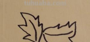 菊花怎么画简笔画(菊花怎么画简笔画图片) 菊花怎么画简笔画(菊花怎么画简笔画图片)