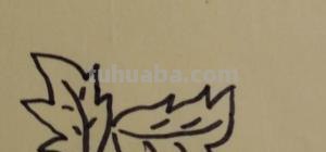 菊花怎么画简笔画(菊花怎么画简笔画图片) 菊花怎么画简笔画(菊花怎么画简笔画图片)