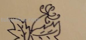 菊花怎么画简笔画(菊花怎么画简笔画图片) 菊花怎么画简笔画(菊花怎么画简笔画图片)