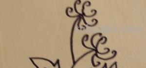 菊花怎么画简笔画(菊花怎么画简笔画图片) 菊花怎么画简笔画(菊花怎么画简笔画图片)
