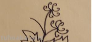 菊花怎么画简笔画(菊花怎么画简笔画图片) 菊花怎么画简笔画(菊花怎么画简笔画图片)