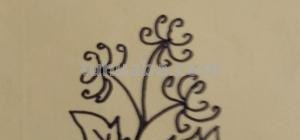 菊花怎么画简笔画(菊花怎么画简笔画图片) 菊花怎么画简笔画(菊花怎么画简笔画图片)
