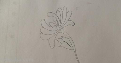 菊花怎么画简笔画(菊花怎么画简笔画图片) 菊花怎么画简笔画(菊花怎么画简笔画图片)