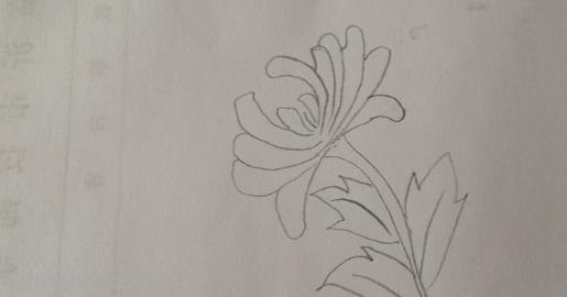 菊花怎么画简笔画(菊花怎么画简笔画图片) 菊花怎么画简笔画(菊花怎么画简笔画图片)
