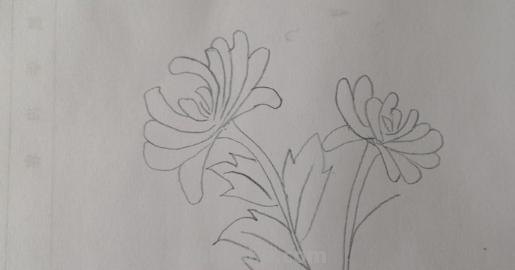 菊花怎么画简笔画(菊花怎么画简笔画图片) 菊花怎么画简笔画(菊花怎么画简笔画图片)