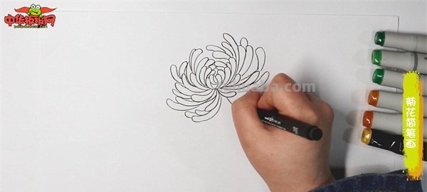 菊花怎么画简笔画(菊花怎么画简笔画图片) 菊花怎么画简笔画(菊花怎么画简笔画图片)