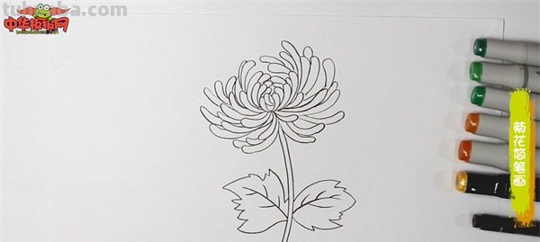 菊花怎么画简笔画(菊花怎么画简笔画图片) 菊花怎么画简笔画(菊花怎么画简笔画图片)
