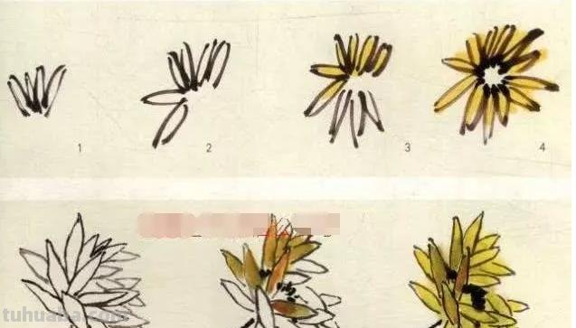 菊花怎么画简笔画(菊花怎么画简笔画图片) 菊花怎么画简笔画(菊花怎么画简笔画图片)
