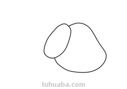 鼻子怎么画简笔画(人的鼻子怎么画简笔画) 鼻子怎么画简笔画(人的鼻子怎么画简笔画)