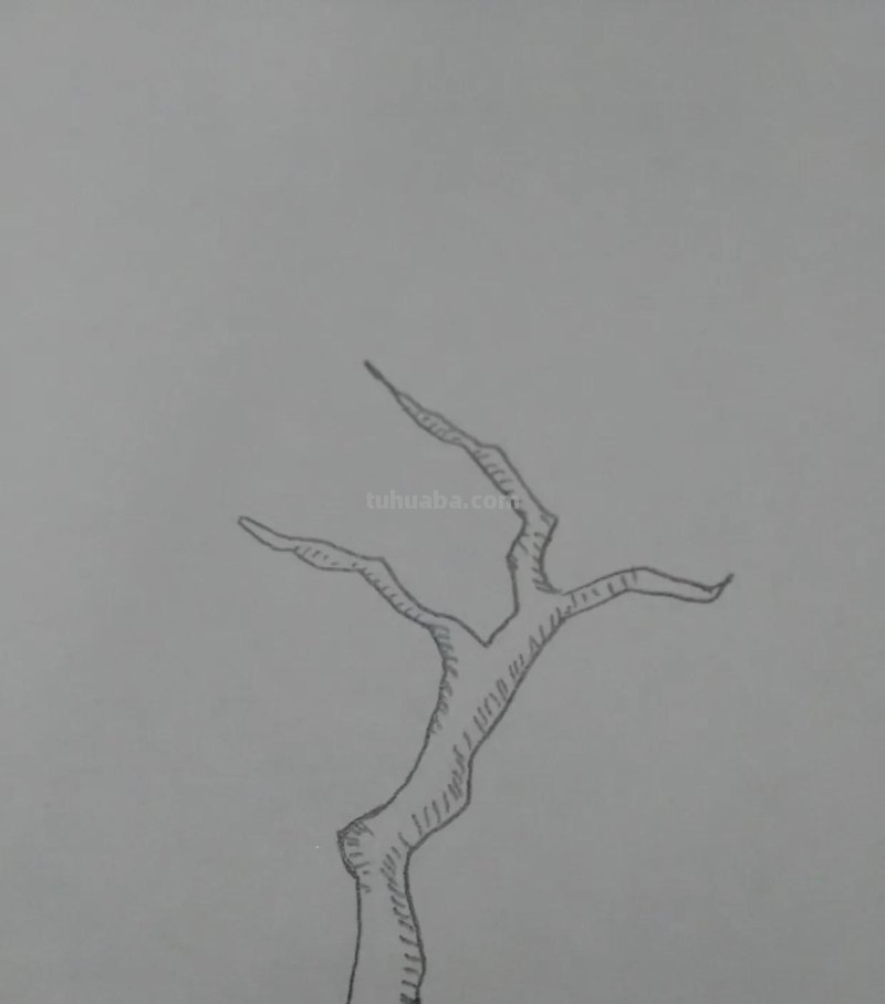 柠檬怎么画简笔画(柠檬怎么画简笔画简单又好看) 柠檬怎么画简笔画(柠檬怎么画简笔画简单又好看)