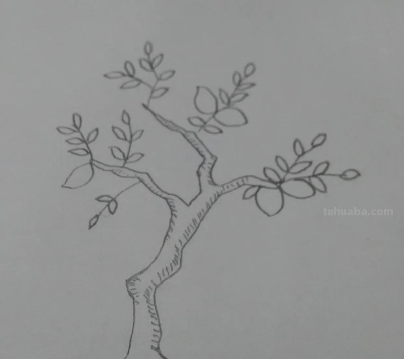 柠檬怎么画简笔画(柠檬怎么画简笔画简单又好看) 柠檬怎么画简笔画(柠檬怎么画简笔画简单又好看)