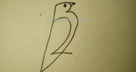 小鸟的简笔画怎么画(小鸟的简笔画怎么画又简单又可爱) 小鸟的简笔画怎么画(小鸟的简笔画怎么画又简单又可爱)