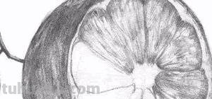 橙子怎么画简笔画(橙子怎么画简笔画图片大全大图) 橙子怎么画简笔画(橙子怎么画简笔画图片大全大图)