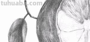 橙子怎么画简笔画(橙子怎么画简笔画图片大全大图) 橙子怎么画简笔画(橙子怎么画简笔画图片大全大图)