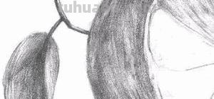橙子怎么画简笔画(橙子怎么画简笔画图片大全大图) 橙子怎么画简笔画(橙子怎么画简笔画图片大全大图)