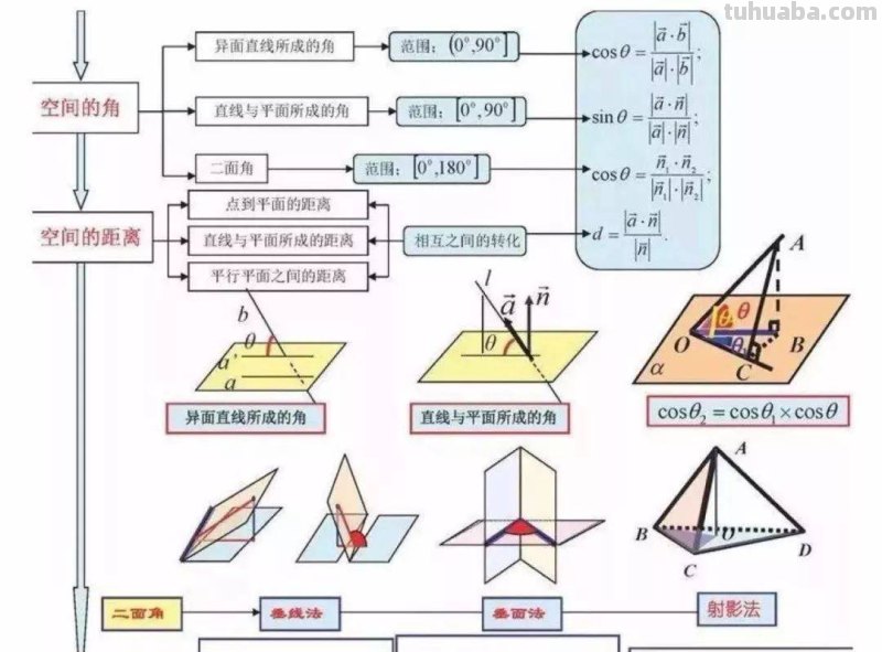 家有高中生必备：高中数学所有思维导图大汇总（超级详细）