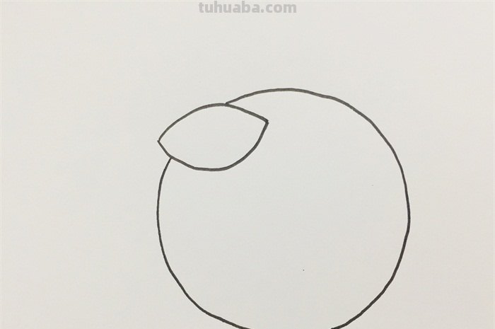 橘子怎么画简笔画(橘子怎么画简笔画图片简单) 橘子怎么画简笔画(橘子怎么画简笔画图片简单)