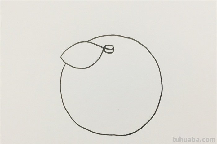 橘子怎么画简笔画(橘子怎么画简笔画图片简单) 橘子怎么画简笔画(橘子怎么画简笔画图片简单)