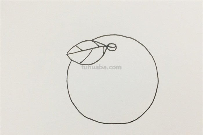 橘子怎么画简笔画(橘子怎么画简笔画图片简单) 橘子怎么画简笔画(橘子怎么画简笔画图片简单)