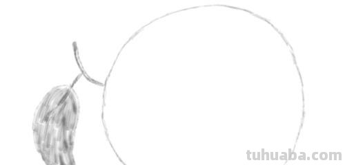 橘子怎么画简笔画(橘子怎么画简笔画图片简单) 橘子怎么画简笔画(橘子怎么画简笔画图片简单)