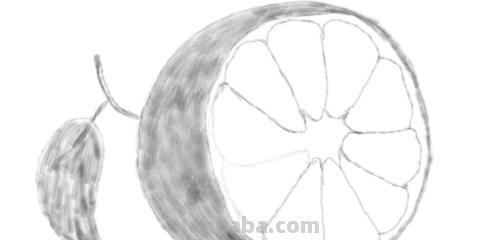 橘子怎么画简笔画(橘子怎么画简笔画图片简单) 橘子怎么画简笔画(橘子怎么画简笔画图片简单)