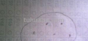 土豆怎么画简笔画(狼牙土豆怎么画简笔画) 土豆怎么画简笔画(狼牙土豆怎么画简笔画)
