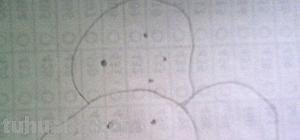 土豆怎么画简笔画(狼牙土豆怎么画简笔画) 土豆怎么画简笔画(狼牙土豆怎么画简笔画)