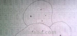 土豆怎么画简笔画(狼牙土豆怎么画简笔画) 土豆怎么画简笔画(狼牙土豆怎么画简笔画)