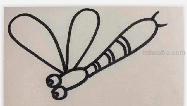 蜻蜓怎么画简笔画(蝴蝶蜻蜓怎么画简笔画) 蜻蜓怎么画简笔画(蝴蝶蜻蜓怎么画简笔画)
