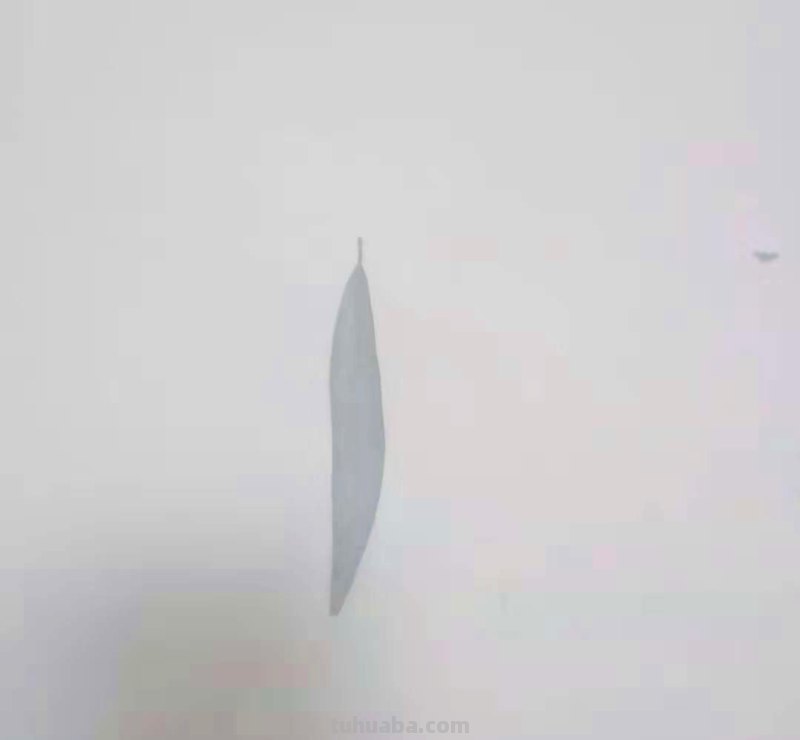 蜻蜓怎么画简笔画(蝴蝶蜻蜓怎么画简笔画) 蜻蜓怎么画简笔画(蝴蝶蜻蜓怎么画简笔画)