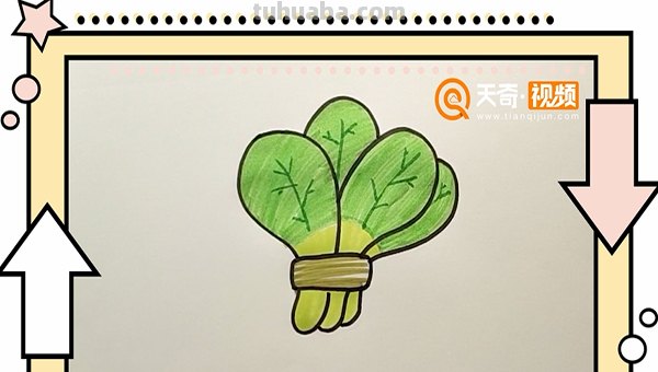 白菜怎么画简笔画(奶油小白菜怎么画简笔画) 白菜怎么画简笔画(奶油小白菜怎么画简笔画)