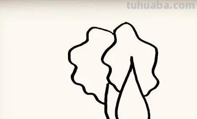 白菜怎么画简笔画(奶油小白菜怎么画简笔画) 白菜怎么画简笔画(奶油小白菜怎么画简笔画)