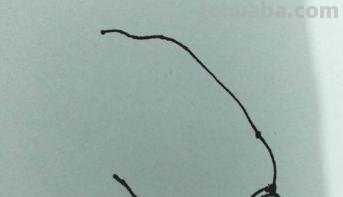 白菜怎么画简笔画(奶油小白菜怎么画简笔画) 白菜怎么画简笔画(奶油小白菜怎么画简笔画)