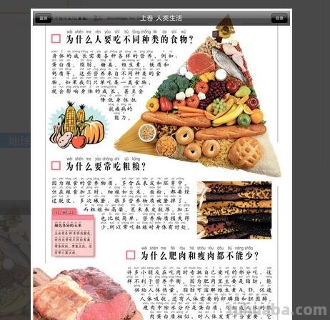 10万个为什么手抄报（10万个为什么手抄报四年级）