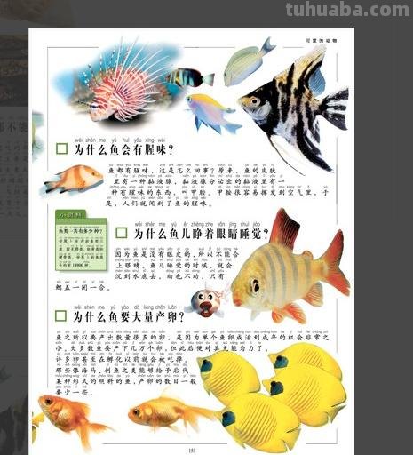 10万个为什么手抄报（10万个为什么手抄报四年级）