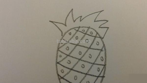 菠萝怎么画简笔画(菠萝怎么画简笔画图片) 菠萝怎么画简笔画(菠萝怎么画简笔画图片)