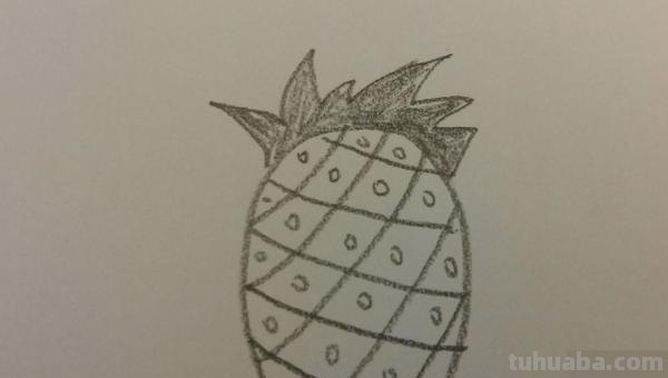 菠萝怎么画简笔画(菠萝怎么画简笔画图片) 菠萝怎么画简笔画(菠萝怎么画简笔画图片)