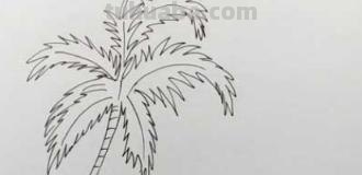 沙滩怎么画简笔画(沙滩怎么画简笔画图片) 沙滩怎么画简笔画(沙滩怎么画简笔画图片)