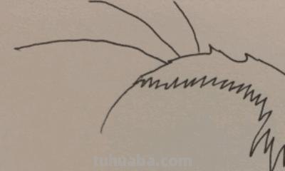 眼镜怎么画简笔画() 眼镜怎么画简笔画()