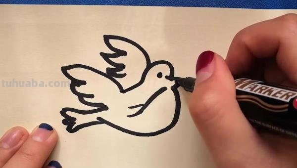 鸽子怎么画简笔画(鸽子怎么画简笔画图片) 鸽子怎么画简笔画(鸽子怎么画简笔画图片)