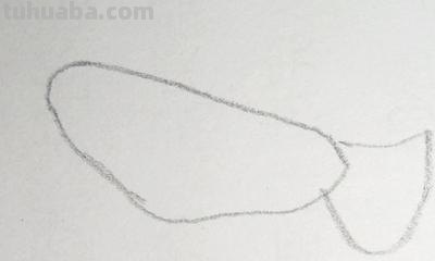 鸽子怎么画简笔画(鸽子怎么画简笔画图片) 鸽子怎么画简笔画(鸽子怎么画简笔画图片)