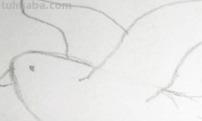 鸽子怎么画简笔画(鸽子怎么画简笔画图片) 鸽子怎么画简笔画(鸽子怎么画简笔画图片)