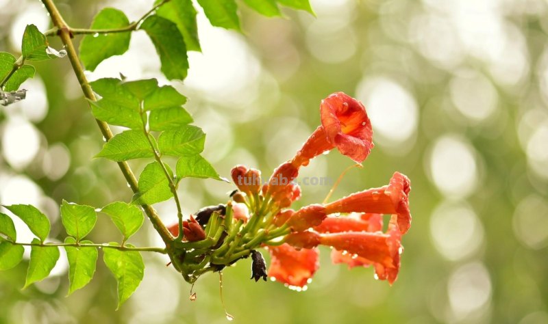 这样拍照真惊艳，摄影技巧学一招，手机相机都好看