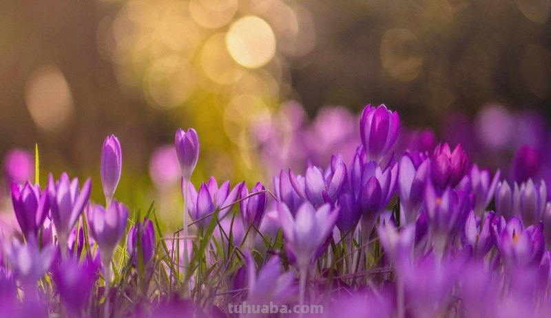 这样拍照真惊艳，摄影技巧学一招，手机相机都好看