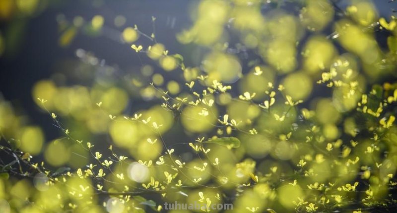 这样拍照真惊艳，摄影技巧学一招，手机相机都好看