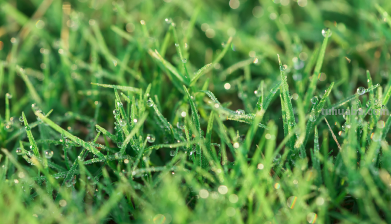 这样拍照真惊艳，摄影技巧学一招，手机相机都好看