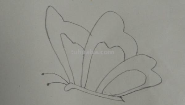 用彩铅怎么画蝴蝶(用彩铅怎么画蝴蝶好看又简单) 用彩铅怎么画蝴蝶(用彩铅怎么画蝴蝶好看又简单)