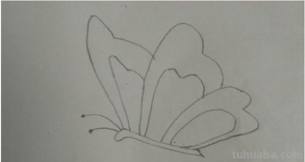 用彩铅怎么画蝴蝶(用彩铅怎么画蝴蝶好看又简单) 用彩铅怎么画蝴蝶(用彩铅怎么画蝴蝶好看又简单)