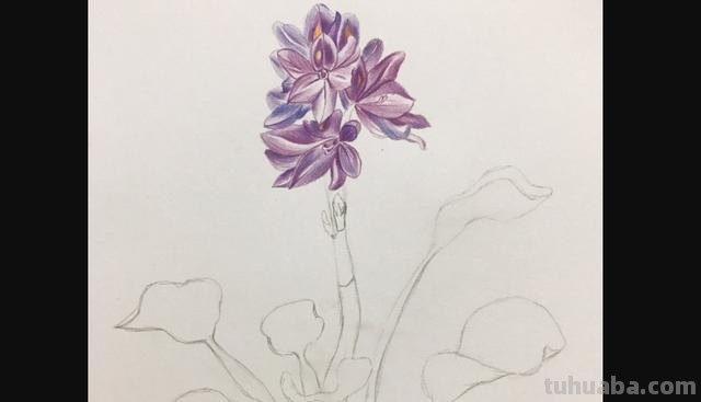 桃花用彩铅怎么画(桃花用彩铅怎么画简单而好看) 桃花用彩铅怎么画(桃花用彩铅怎么画简单而好看)
